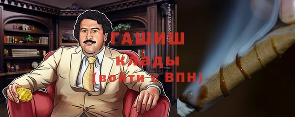 индика Арсеньев