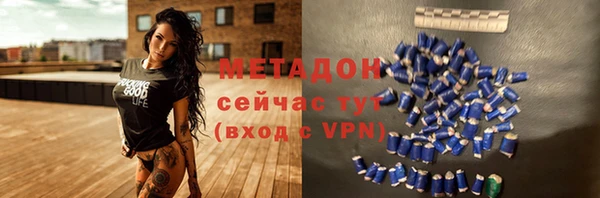 индика Арсеньев