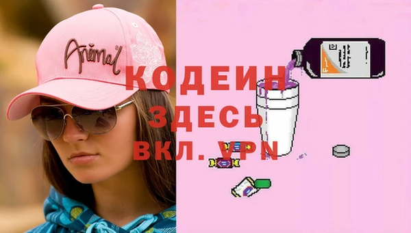 индика Арсеньев