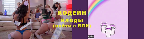 индика Кинешма