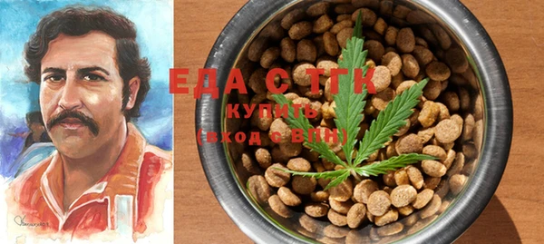 индика Арсеньев