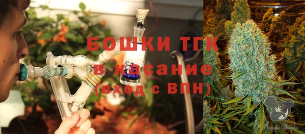 индика Арсеньев
