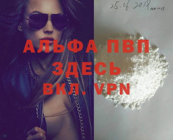 индика Арсеньев