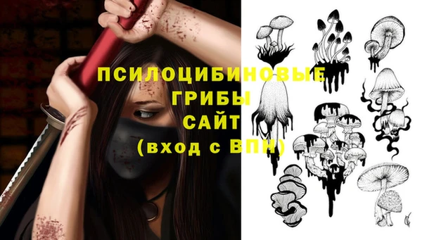 ешки Армянск