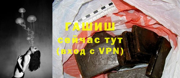 индика Арсеньев