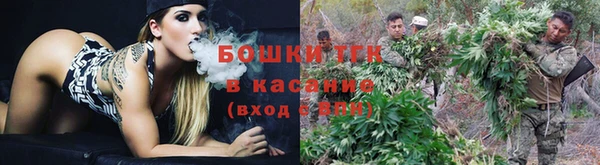 индика Арсеньев