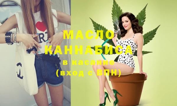 индика Арсеньев