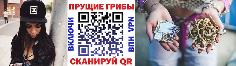 Галлюциногенные грибы GOLDEN TEACHER  закладка  Гвардейск 